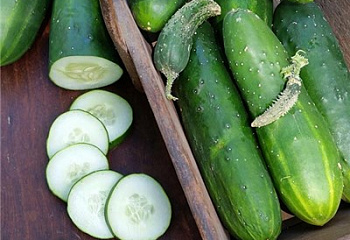 Огурец Cucumber Ancash Market Cucumber 