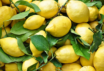 Лимон Citrus limon Сommune 