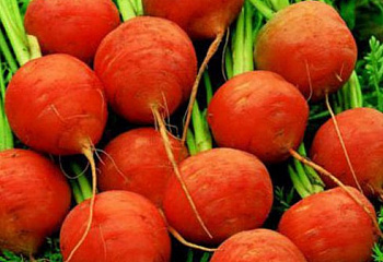 Морковь Carrot Paris Market Baron 