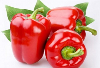 Перец сладкий  Sweet pepper Jupiter 