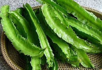 Фасоль Phaséolus Asian Winged 