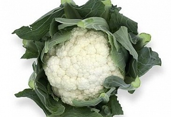 Капуста цветная Cauliflower Stabilis 
