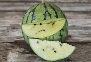 Арбуз Watermelon Cream of Saskatchewan 