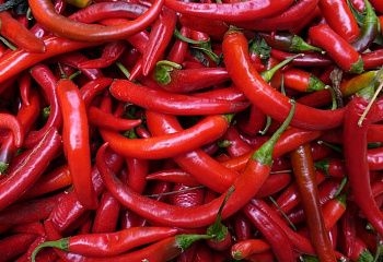 Перец острый Hot pepper Large Red Cayenne 