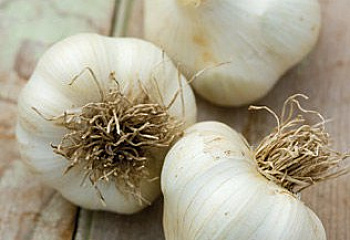Чеснок Garlic Siciliano 