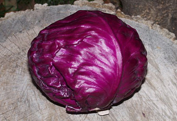 Капуста кочанная Cabbage Rubin 
