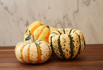 Тыква Squash Italian Snake 