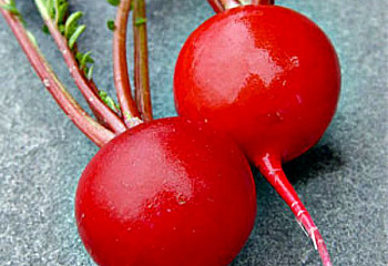 Редис Radish Perfecto 