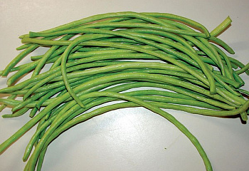Фасоль Phaséolus Chinese Green Noodle 