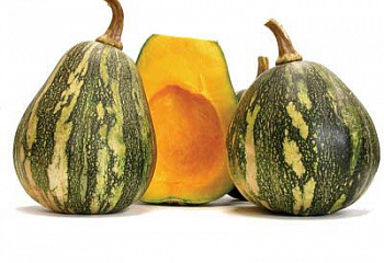 Тыква Squash Pompoen Fairy 