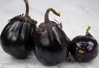 Баклажан Eggplant Mitoyo F1 