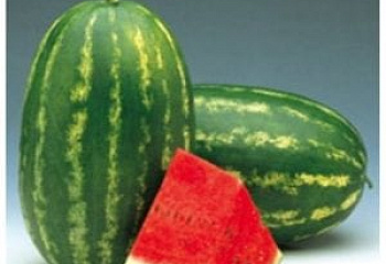 Арбуз Watermelon Farao F1 