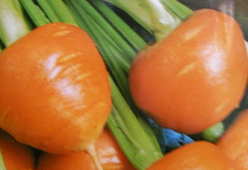 Морковь Carrot Round Baby 
