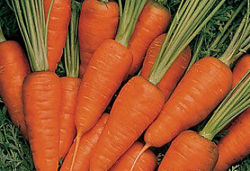 Морковь Carrot Short 'N Sweet 