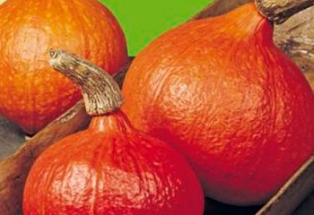 Тыква Squash Oranje Zon 