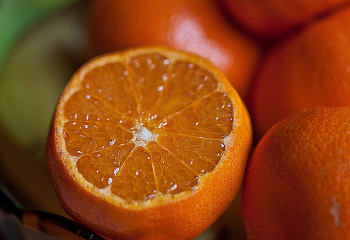 Апельсиновое дерево Orange Tree Ovaletto di Calatafimi 