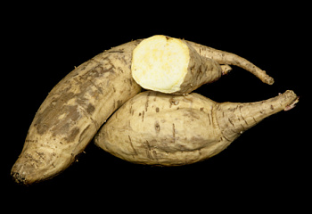 Батат или Сладкий картофель Sweet Potato Ivis White Cream 