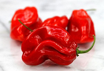 Перец острый Hot pepper Zavory Habanero Hot Pepper 