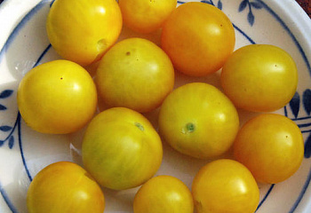 Помидор Тomato Egg Yolk 