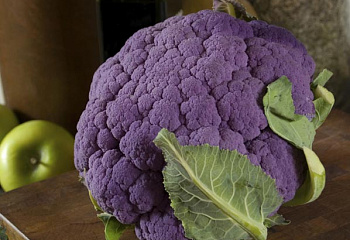 Капуста цветная Cauliflower Violet Queen 